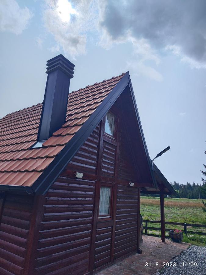 Vila Carobna Suma Tara Bajina Basta Exterior photo