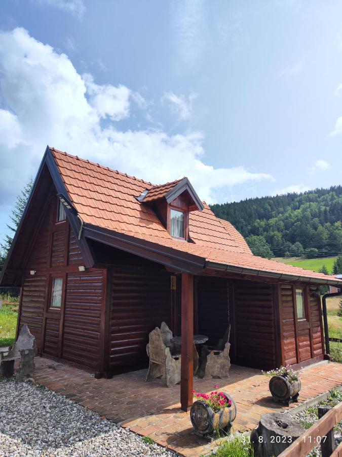 Vila Carobna Suma Tara Bajina Basta Exterior photo